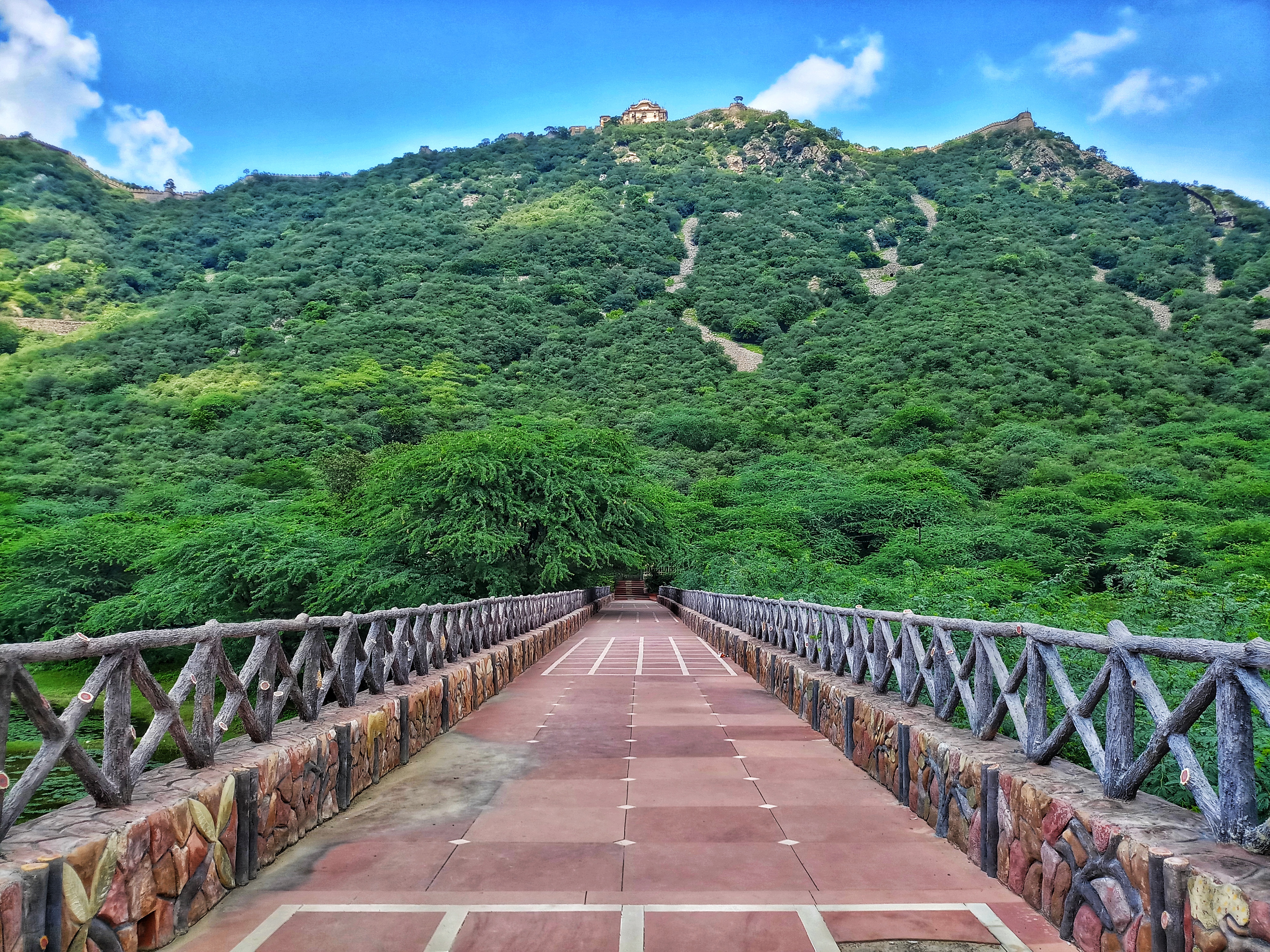 Biodiversity Park